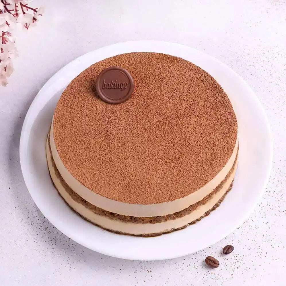 Rich Cocoa Tiramisu Cake