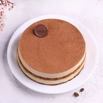 Rich Cocoa Tiramisu Cake